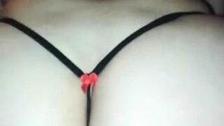 Amelie, une bonne chienne francaise !