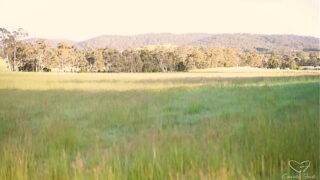 Charlie Ford, Mishel Karen And Laney Day Fuck In Threesomes!